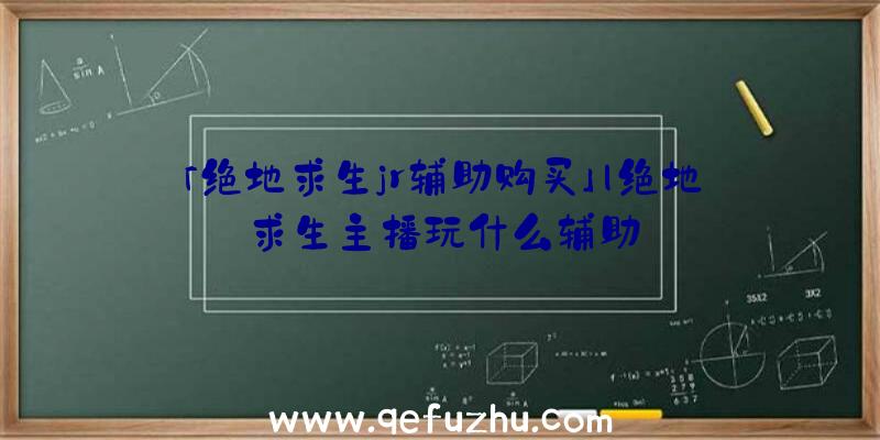 「绝地求生jr辅助购买」|绝地求生主播玩什么辅助